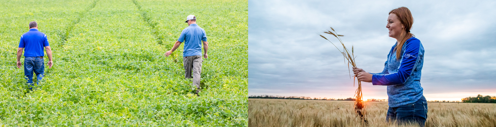 Split image of people walking in a field