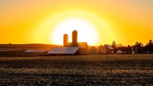 Farm at sunset